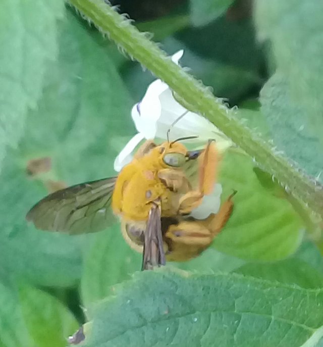 20180912_132936.jpg