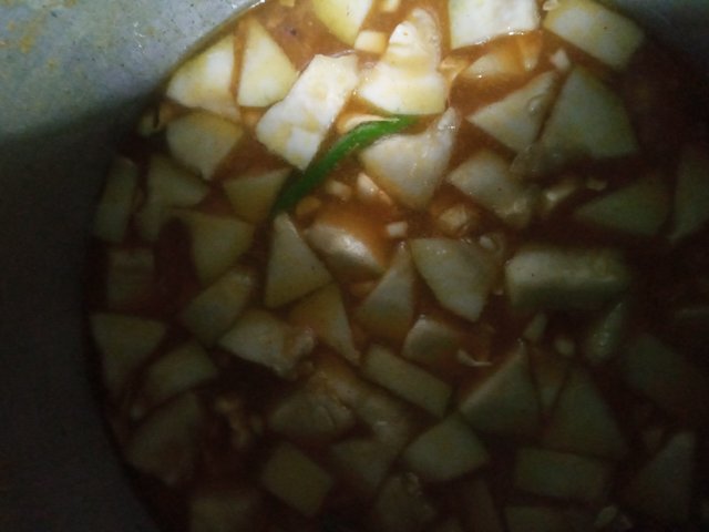 20220324_101555.jpg