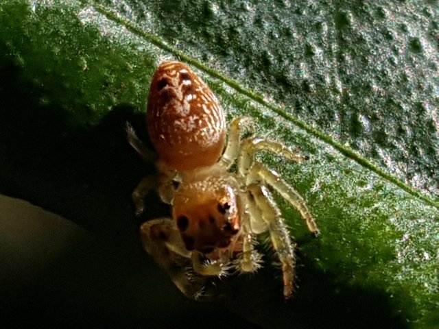 20180706_101050.jpg