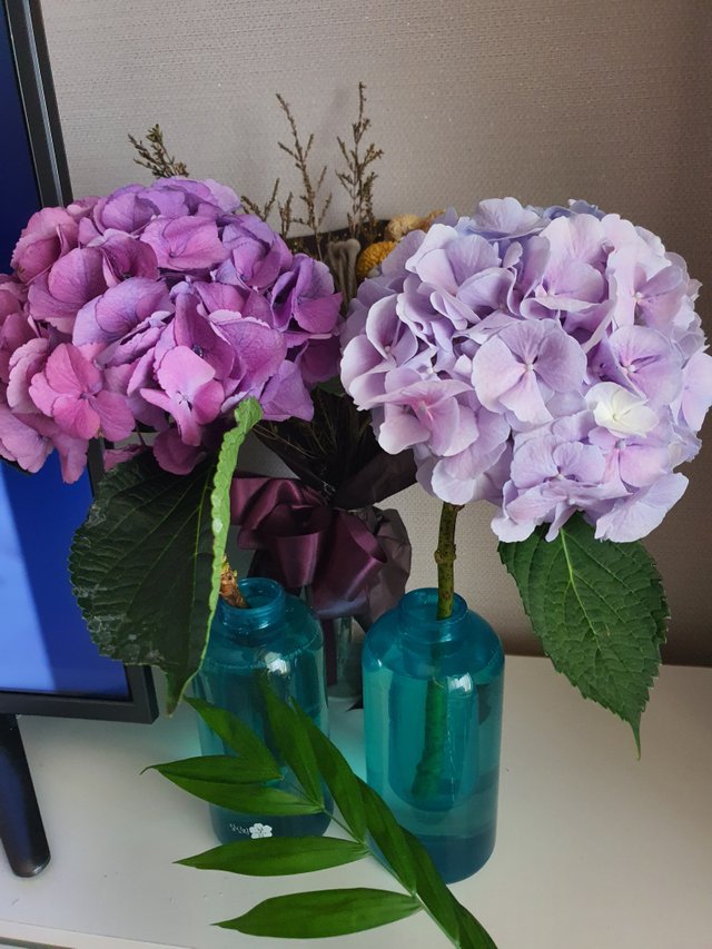 20200507_134042.jpg
