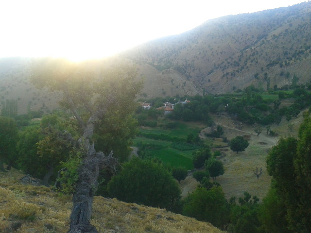 20150731_185439.jpg