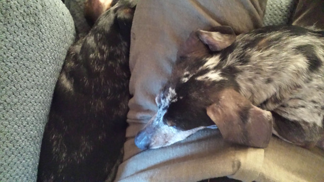 20170221_170841.jpg