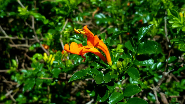 20170813_141729.jpg