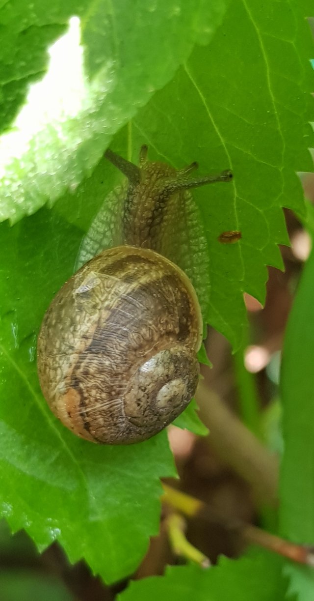 20190528_083325.jpg