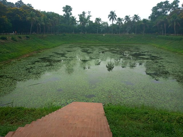 20230503_070206.jpg