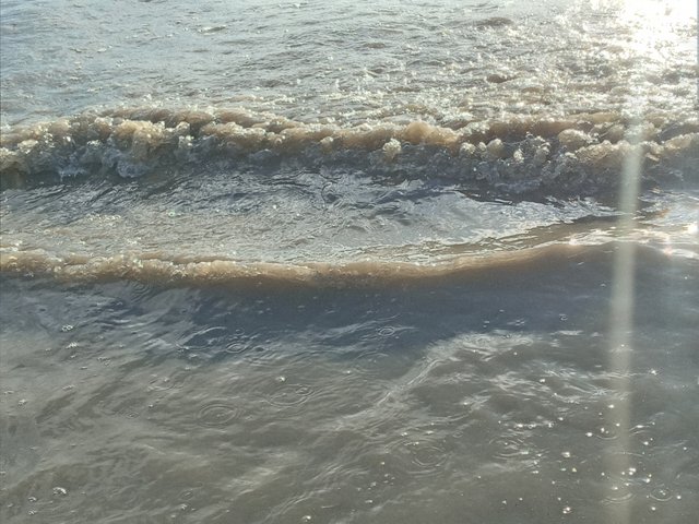 20221005_164632.jpg