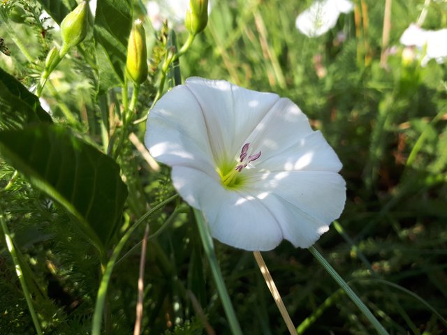 20180611_085112.jpg