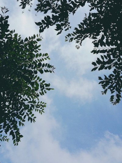 20180704_120218.jpg