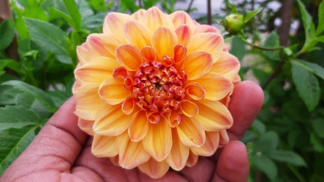 20191021_084733.jpg