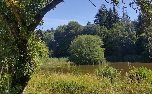20180703_111154.jpg