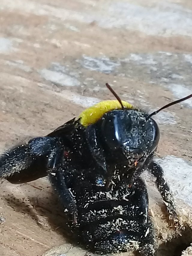 20180911_195903.jpg