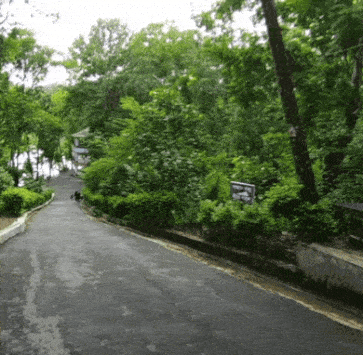 20211012_222009.gif