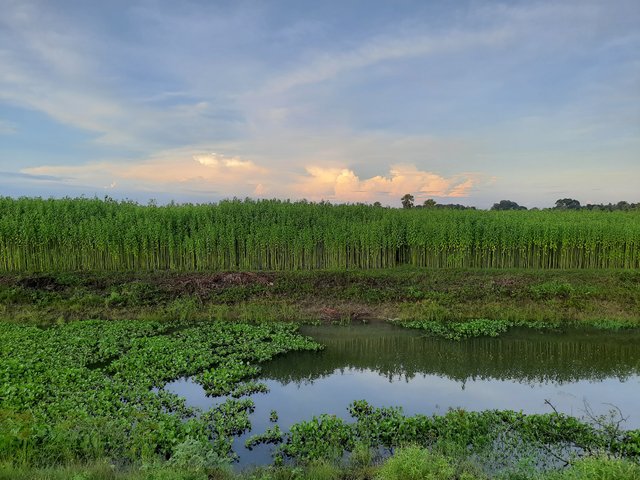 20220703_184123.jpg