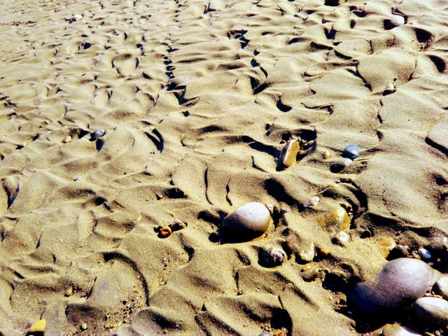 20181006_140106.jpg