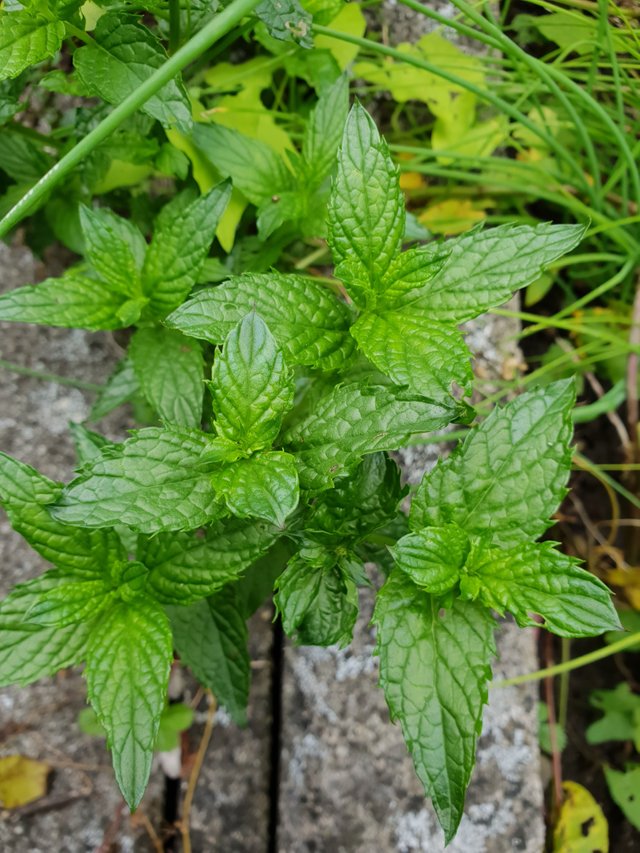 20181009_095609.jpg