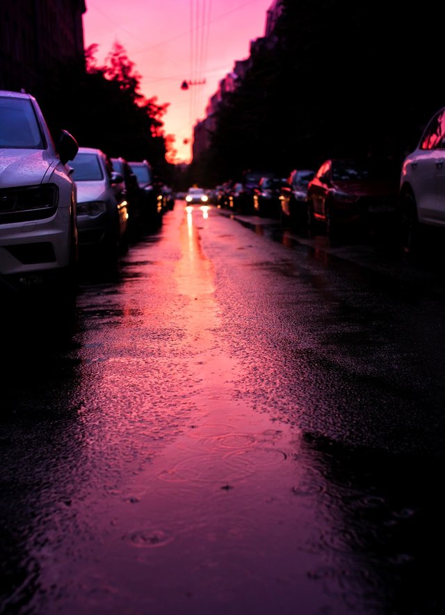 2021-aug-7119wS.jpg