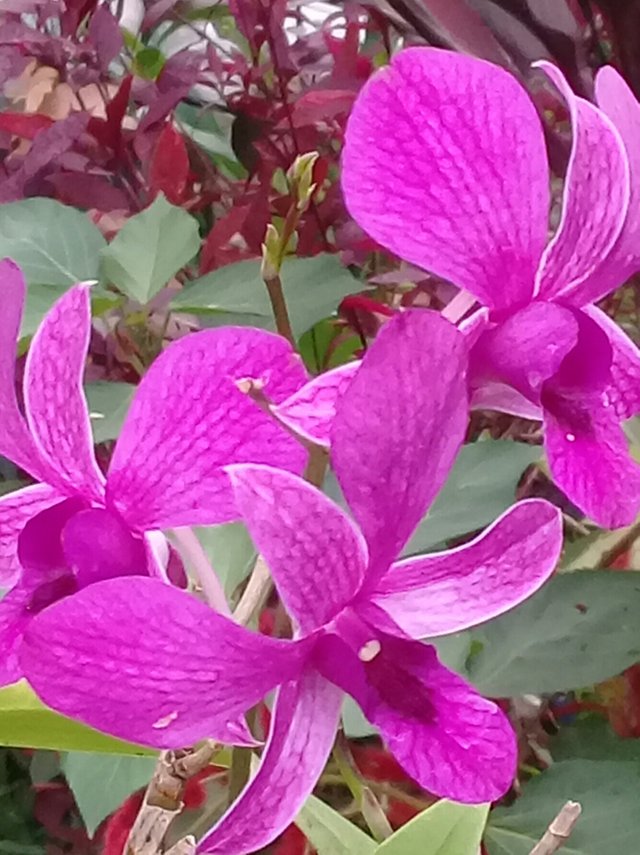 20180911_182711.jpg