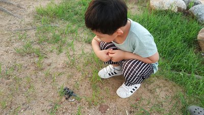 20180712_193303.jpg