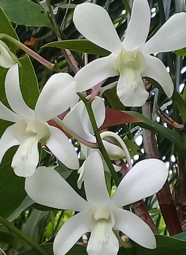 20180911_182610.jpg