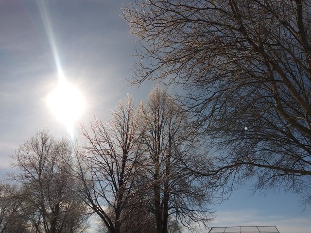 20190209_110008.jpg
