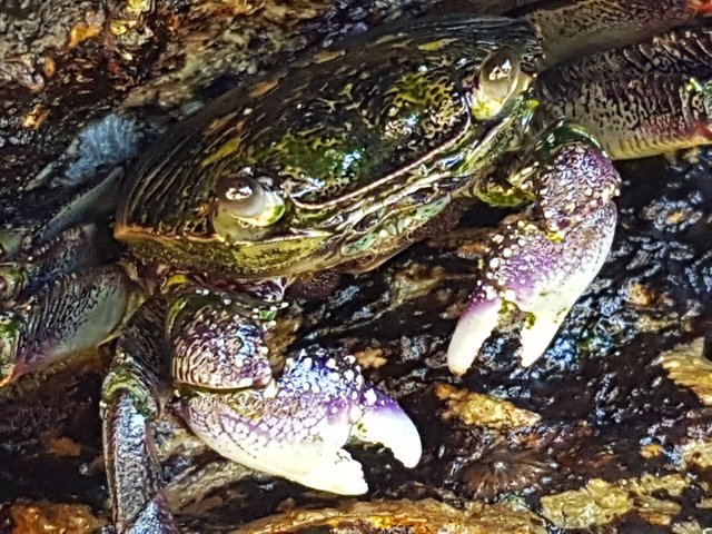 20180106_154445.jpg