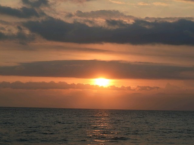 20190509_165941.jpg