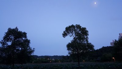 20180723_195756.jpg