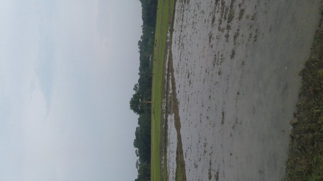 20180620_175655.jpg