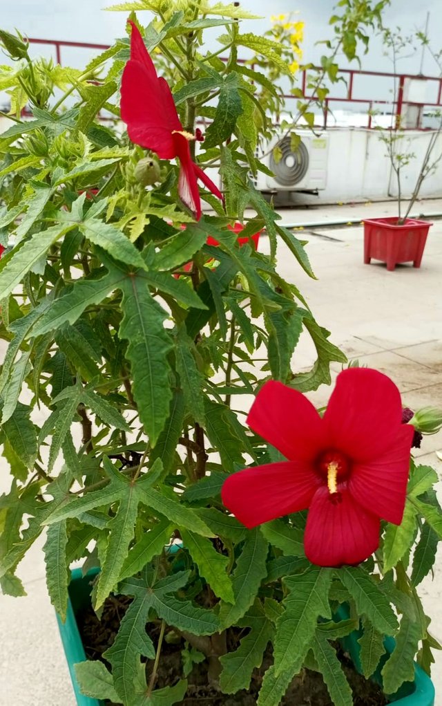 20220906_002254.jpg