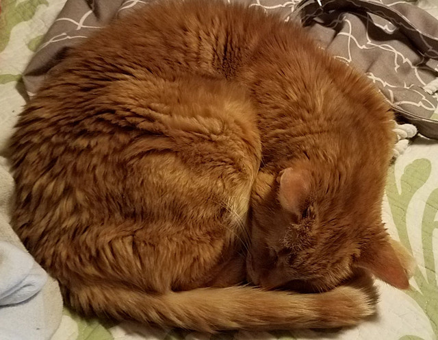 20180410_210940.jpg