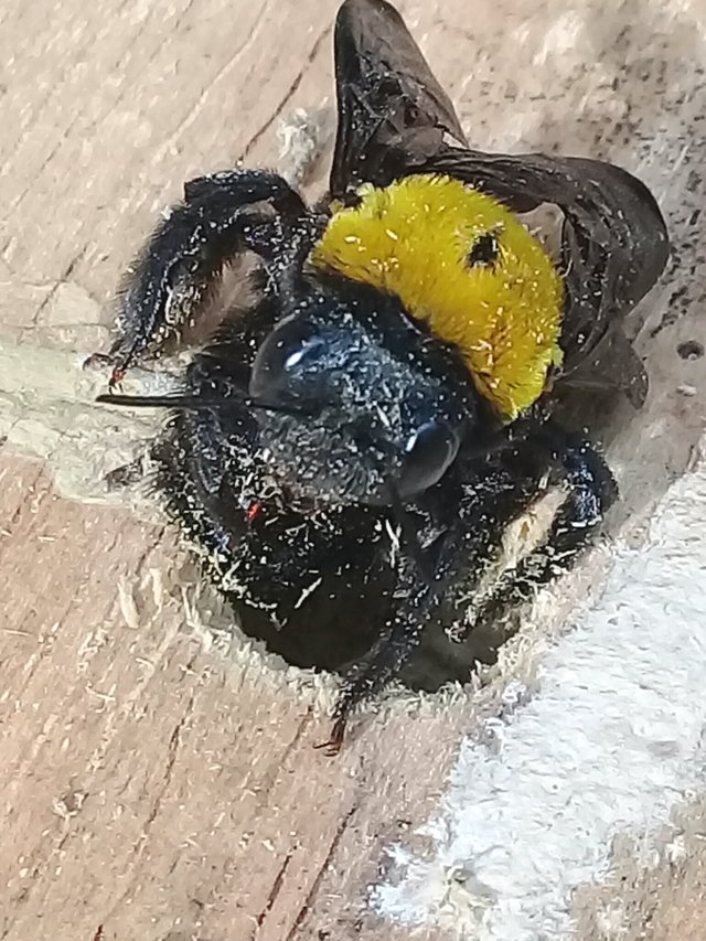 20180911_200027.jpg