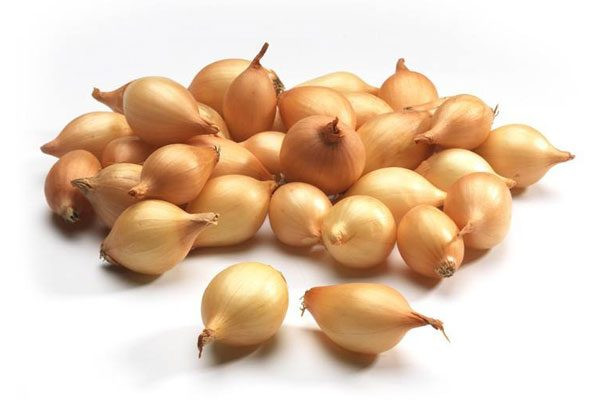 ARPAGIC-600x400.jpg