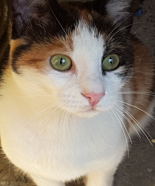 20180414_135424.jpg