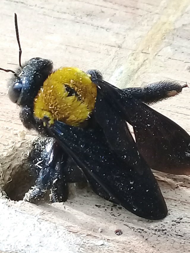 20180911_195952.jpg