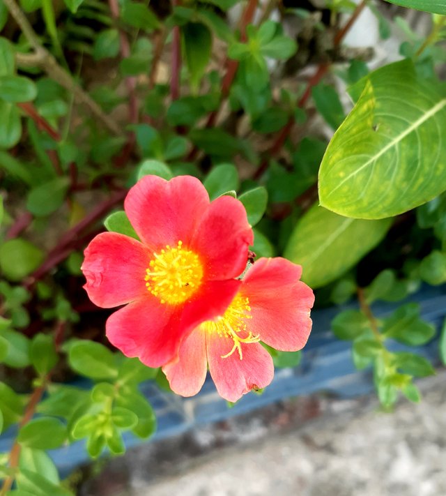 20220822_094654.jpg