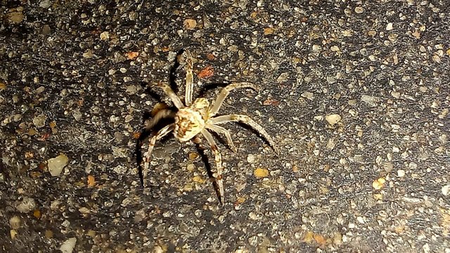 20241117_030329.jpg
