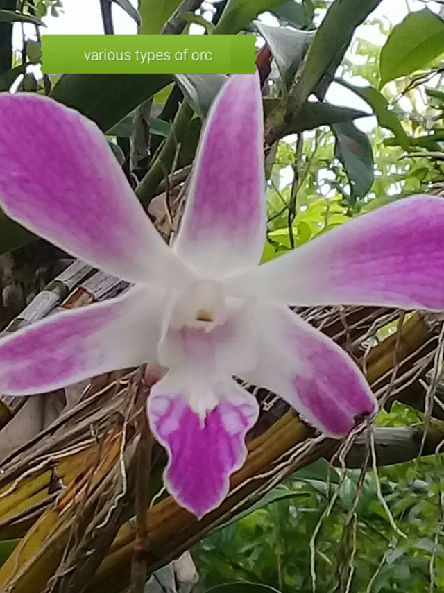 20180911_183714.jpg