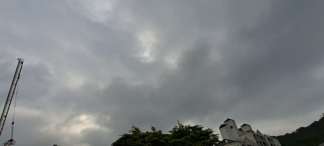 20210518_080216.jpg