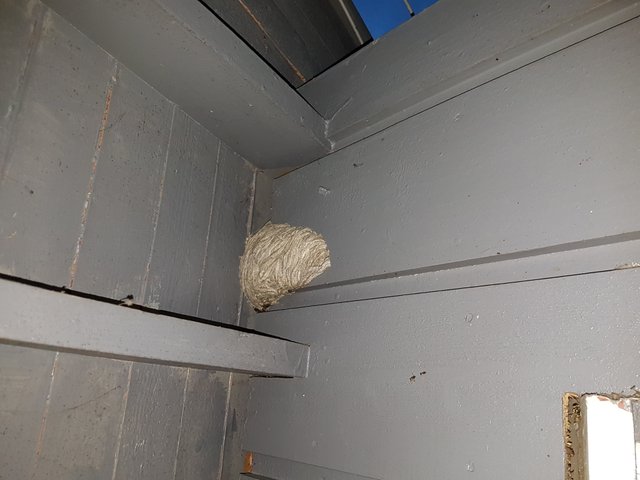 20180723_225331.jpg