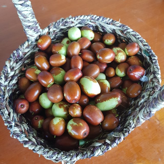 20201003_135039.jpg