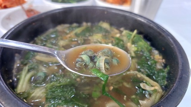 20230512_081334.jpg