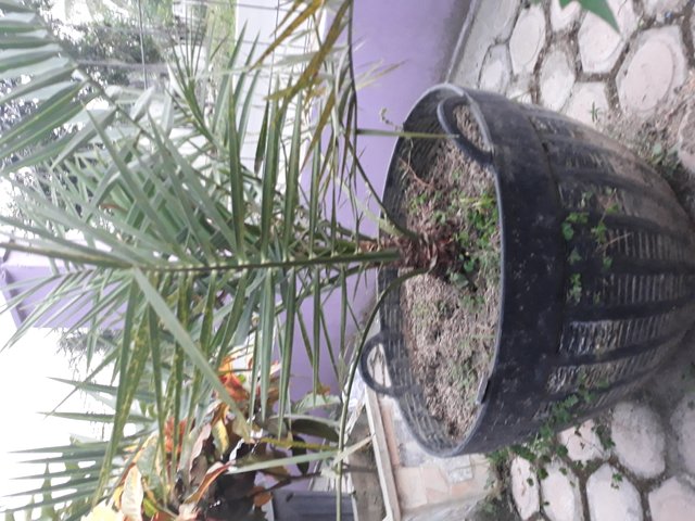 20180601_183630.jpg
