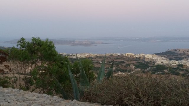 20190630_202659.jpg