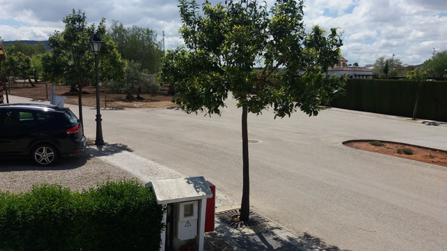 20180502_152549.jpg