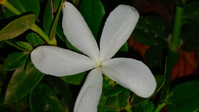 20230314_014920.jpg