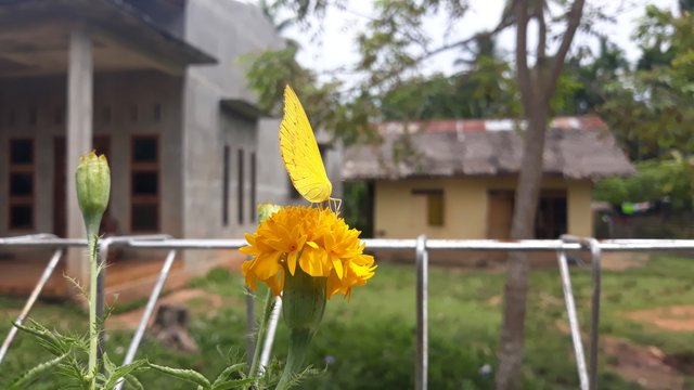 20180829_113748.jpg