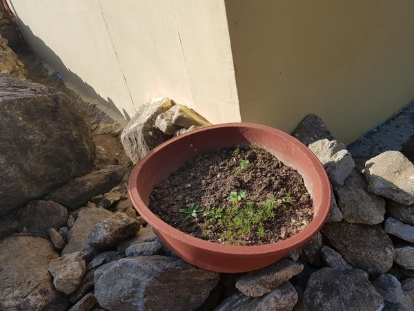 20180531_171101.jpg