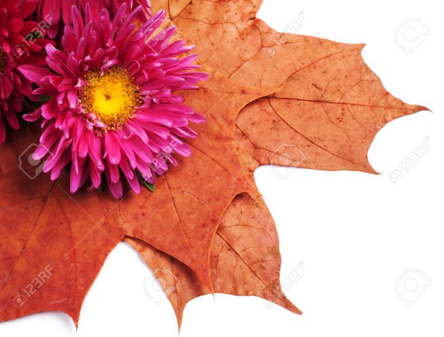 otoño 22.jpg