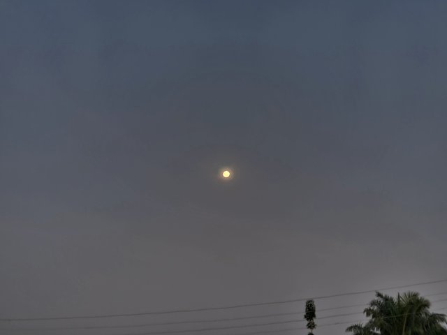 20230404_184753.jpg