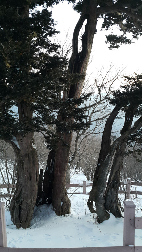 20150212_071255.jpg